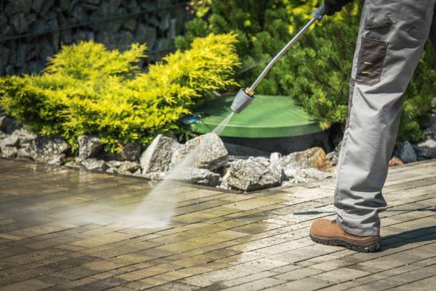 Best Animal Enclosure Cleaning  in Village Green, NY
