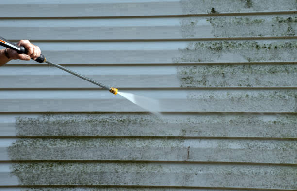 Best Gutter Cleaning  in Village Green, NY